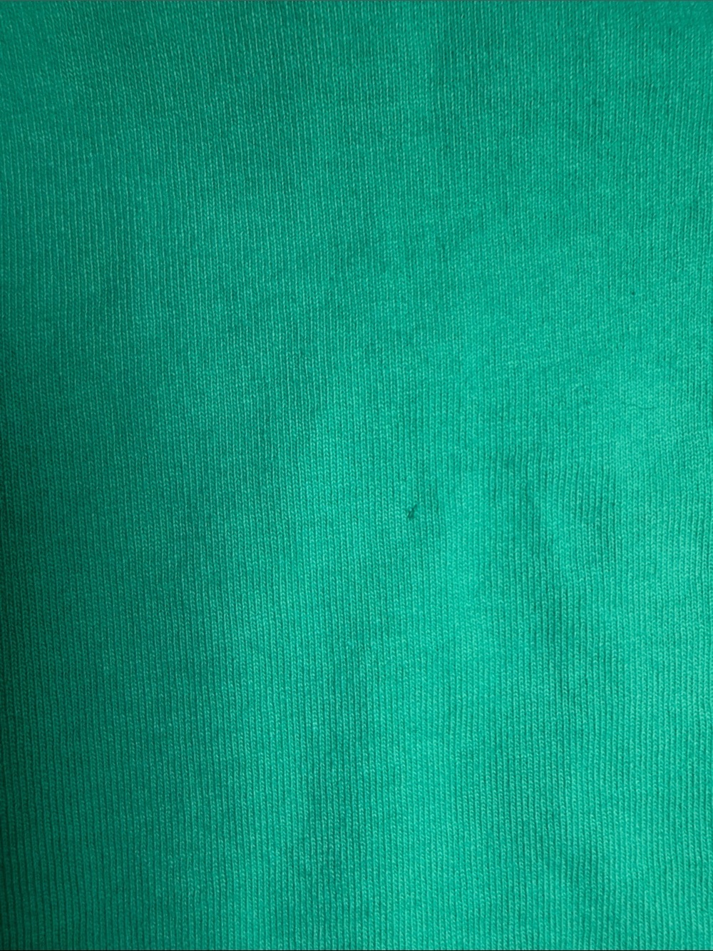 Disney Disneyland Resort Long Sleeve Sweatshirt - Teal & White - Picture 3 of 7